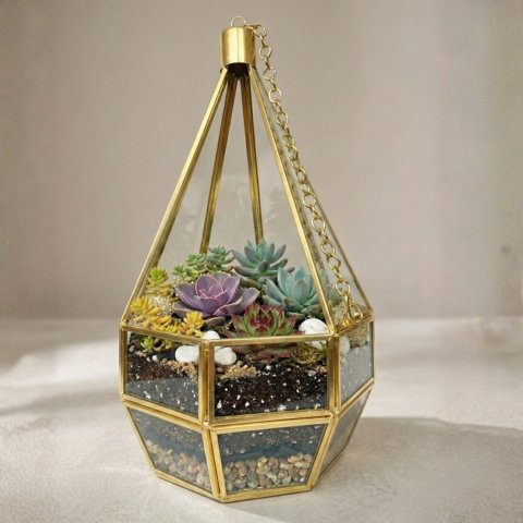 Ananta Poly Terrarium
