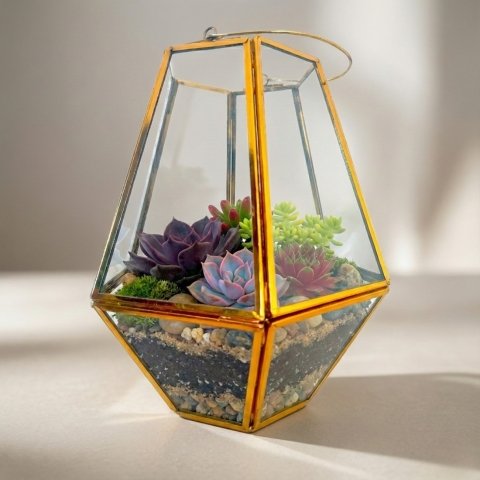 Tejas Lantern Terrarium