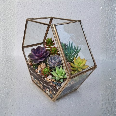 Prakriti Facet Terrarium