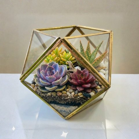 Yantra Facet Terrarium