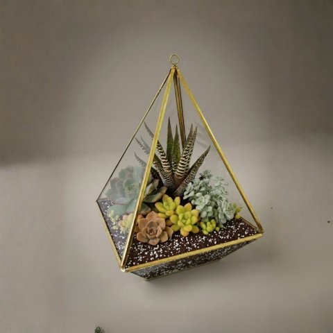 Kailasa Peak Terrarium