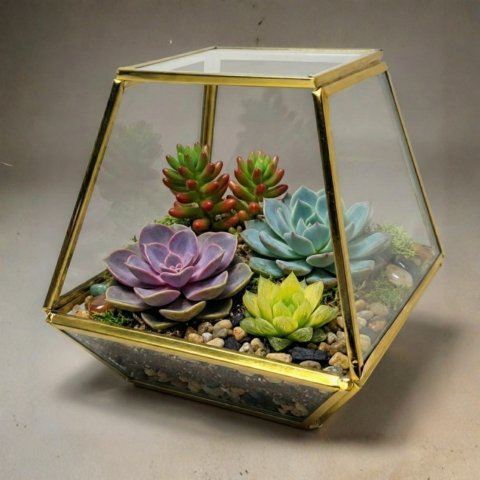 Dhara Facet Terrarium