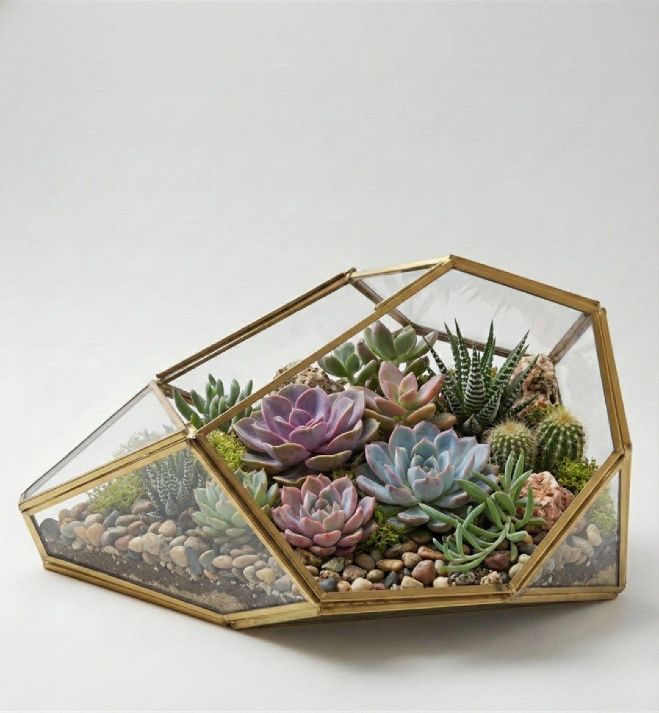 Ratna Gem Terrarium